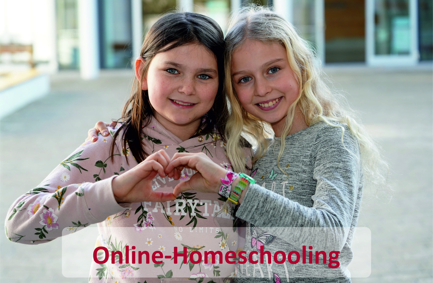 Online Homeschooling